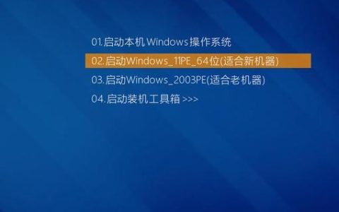 PE系统中的预装软件通常存放在哪个目录下？