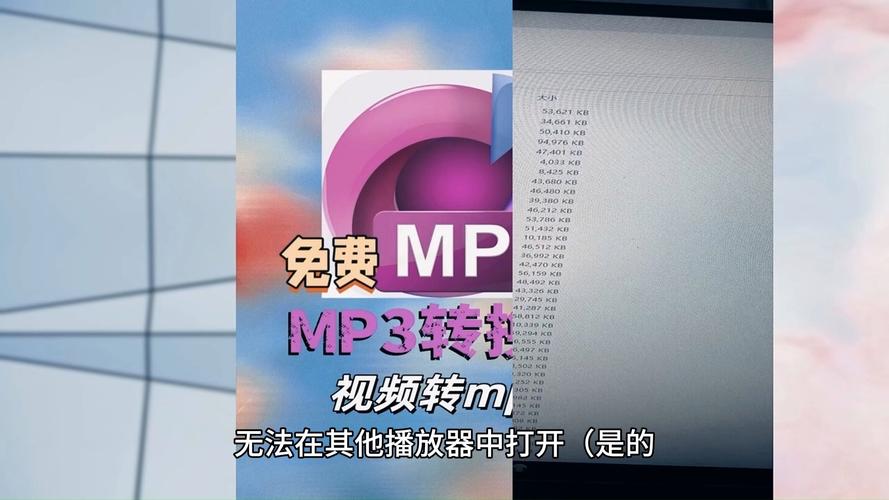 mp域名_为什么MP3转封装MP4失败?