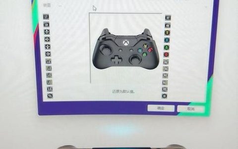 为什么在私人服务器上无法使用游戏手柄？