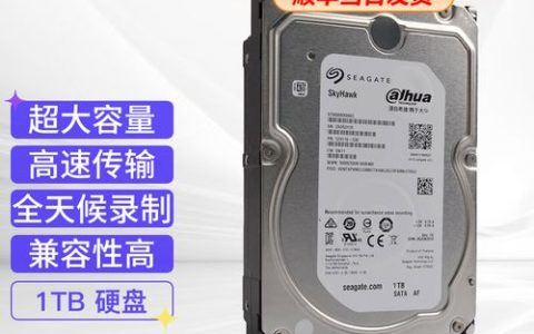 大华evs50存储服务器兼容哪些硬盘类型？
