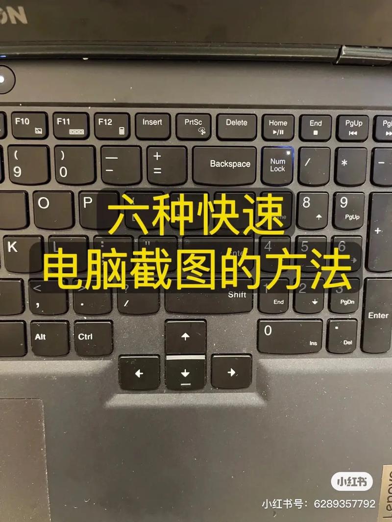 电脑截图下来的在哪里