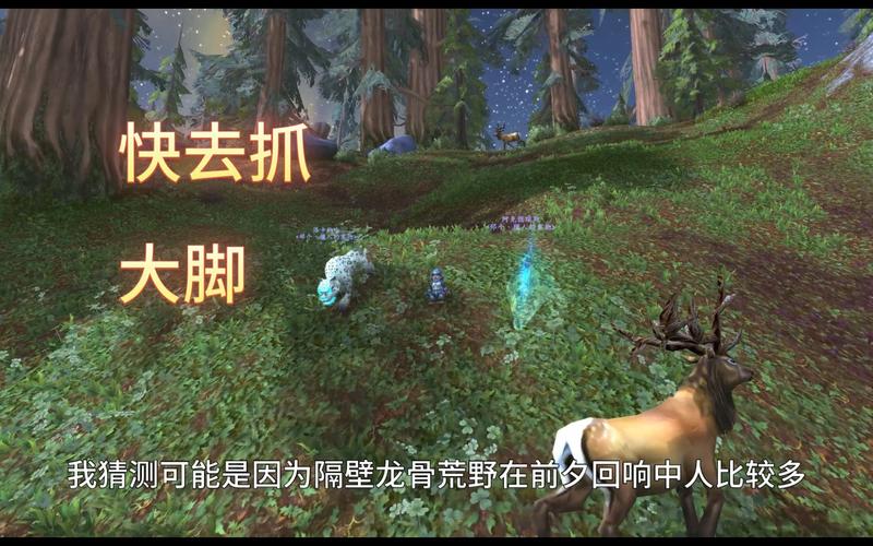 魔兽大脚要安装到哪里