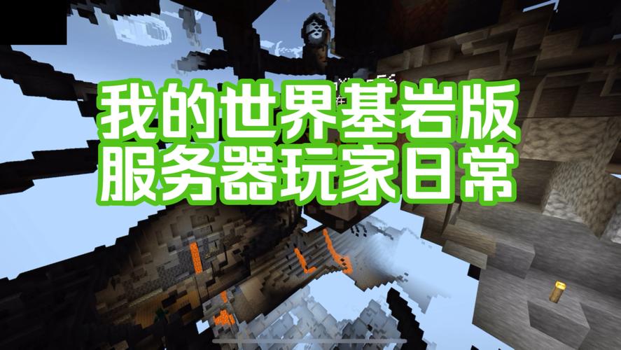 我的世界什么版能登陆服务器