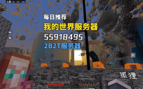 阿普亚服务器为我的世界玩家提供了哪些独特功能？
