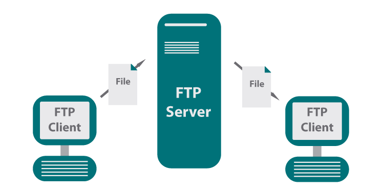 ftp客户端web服务器_FTP