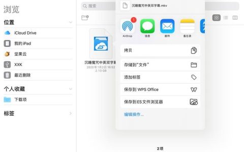 如何在iPad上查看U盘内容？