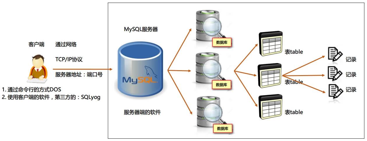 mysql数据库控件_基础控件
