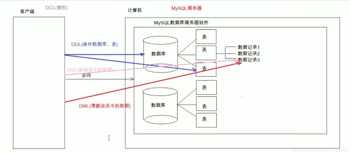 mysql数据库控件_基础控件