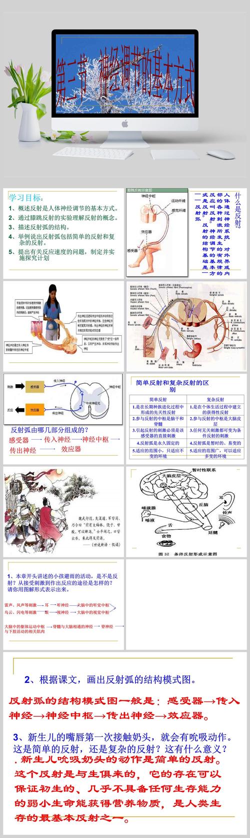 反射弧的结构_结构