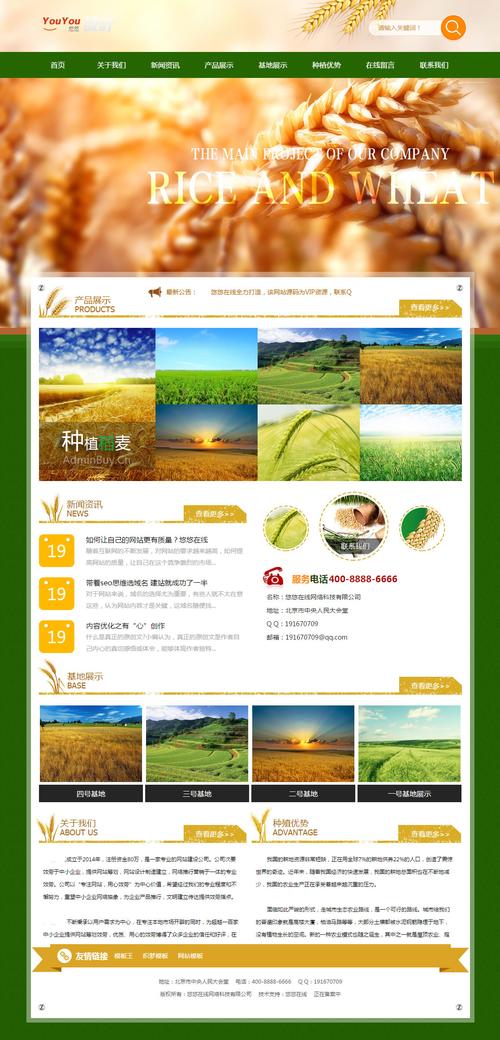 苗木企业网站建设源代码_源代码