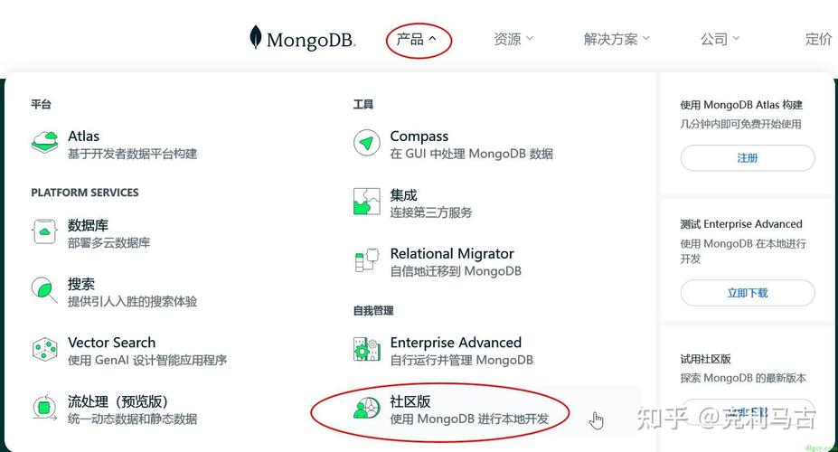 mongodb开发_MongoDB安装