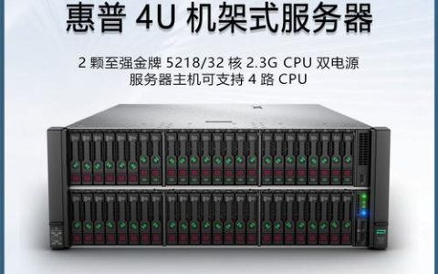 服务器主机的多功能用途有哪些？