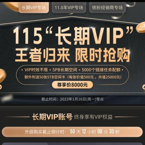 115网盘v劵哪里有