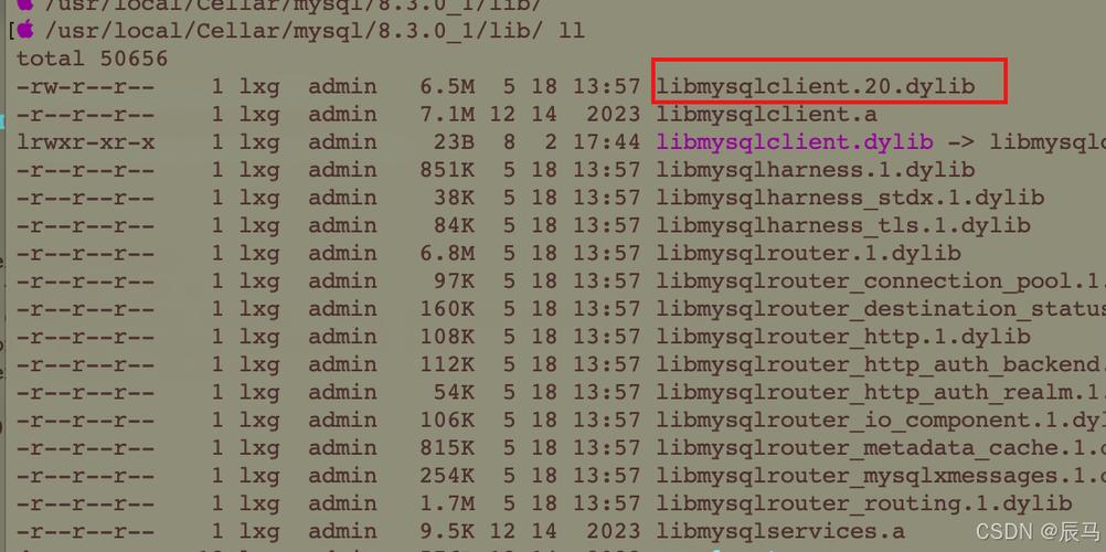 mac xampp配置mysql数据库_Mac