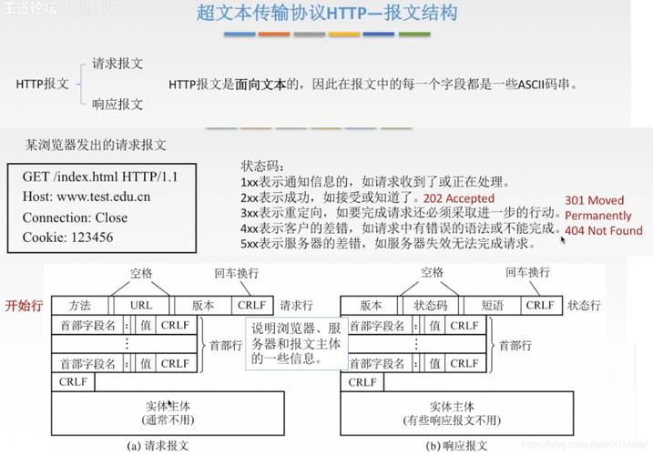 万维网服务器提供什么协议
