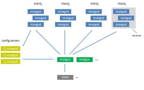 MongoDB文档数据模型，它与传统数据库有何不同？