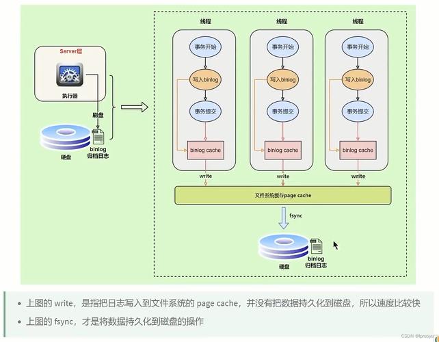 mysql数据库 介绍_Mysql数据库