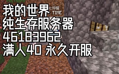暗墨在我的世界中的服务器名称是什么？