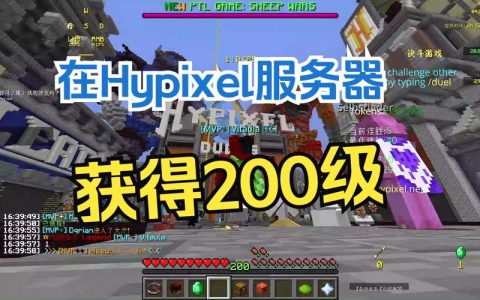 在服务器上，哪些游戏最受玩家青睐？