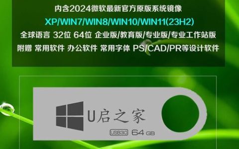 哪里可以找到没有预装软件的纯净版U盘启动器？