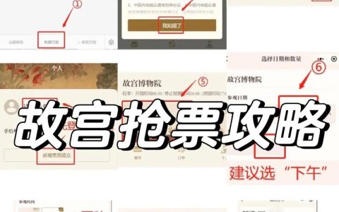 故宫门票系统频繁显示服务器繁忙，原因何在？