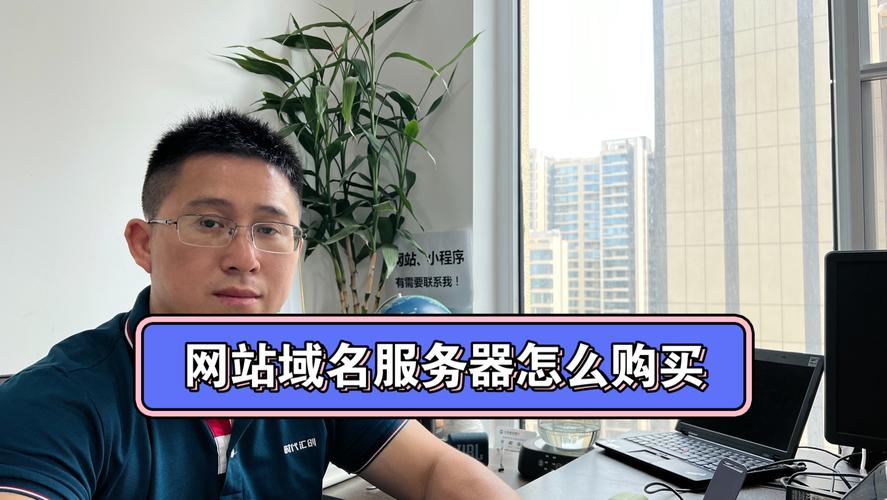 建网站买什么样的服务器