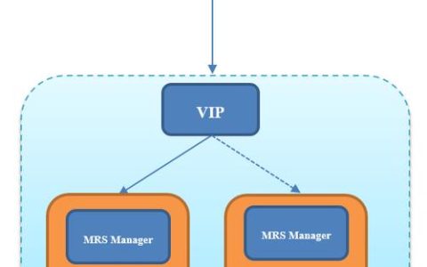 MRS集群管理中，合作伙伴的作用是什么？