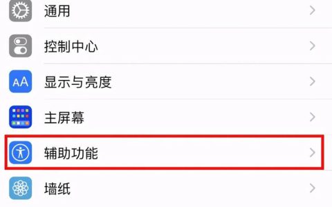 如何设置苹果设备的快捷启动功能？