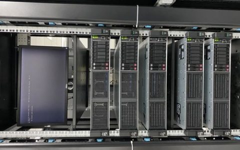 实验室中通常采用哪种类型的服务器？