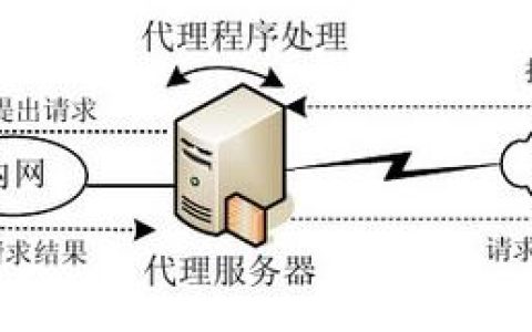 代理IP与服务器，它们之间的核心差异是什么？