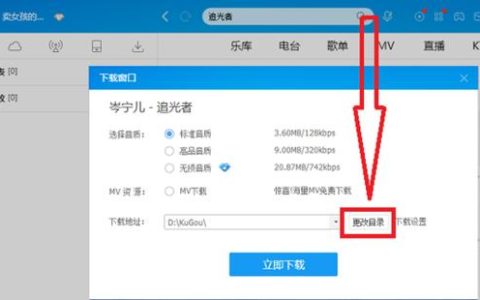 U盘软件下载指南，哪些平台提供安全的资源？