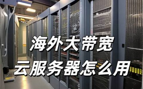 云服务器的未来发展趋势将如何演变？
