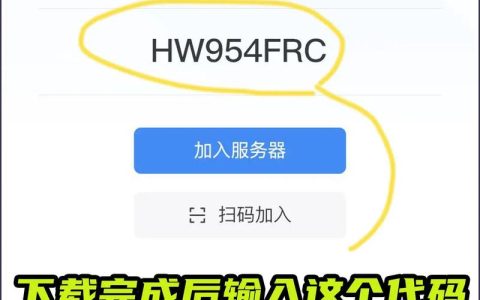 专用服务器与邀请码在功能和使用上有哪些显著差异？