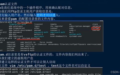 如何在Mac系统上成功搭建FTP服务器？