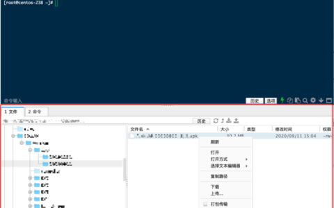 如何有效利用Mac云服务器提升工作效率？