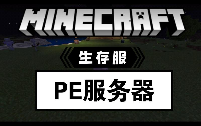我的世界ps4服务器是什么