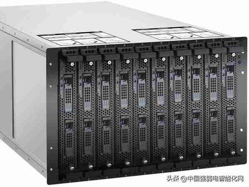 一个属于强者的服务器是什么