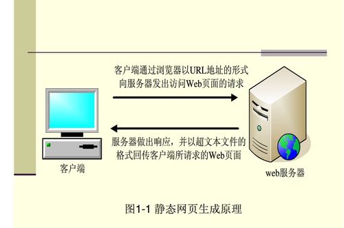 做一个网站需要什么服务器