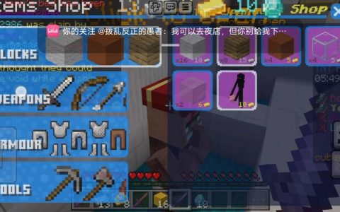 探索塔防乐趣，在我的世界中哪些服务器提供最佳体验？
