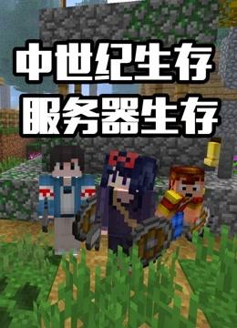 中世纪的服务器名字叫什么