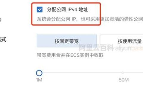 网络中认证的服务器IP地址是如何工作的？