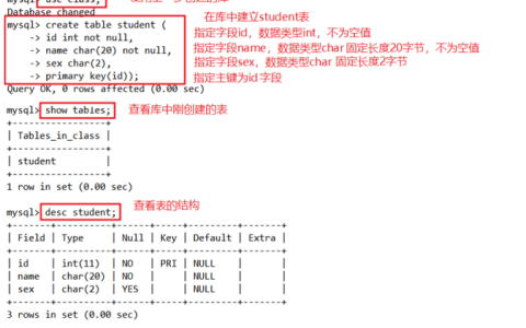 如何使用命令行在MySQL中导入数据库？_Doris MySQL命令入门指南