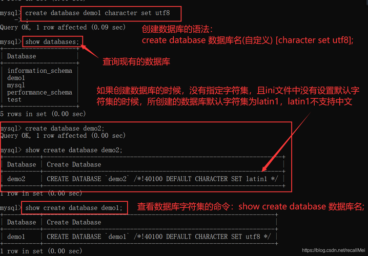 mysql如何拷出数据库_函数如何访问MySQL数据库？