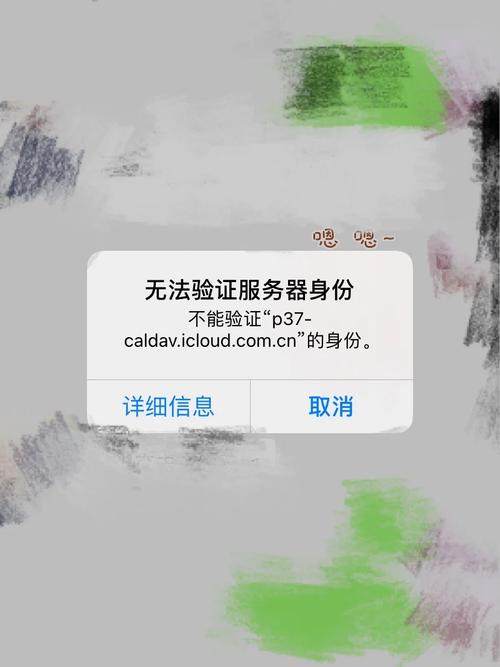 苹果x手机服务器是什么意思啊