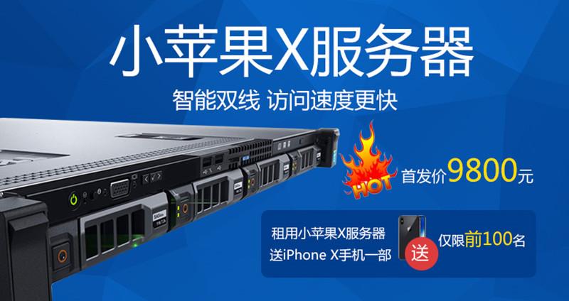 苹果x手机服务器是什么意思啊