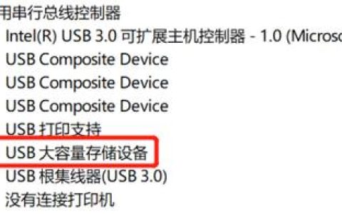 戴尔电脑如何配置USB启动选项？