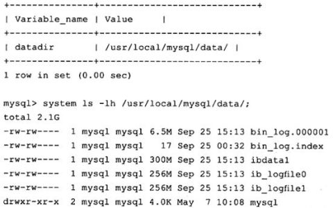 如何高效查询MySQL数据库中的日期和错误日志？