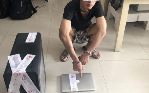 网络销售服务器触犯法律，将面临何种刑事责任？