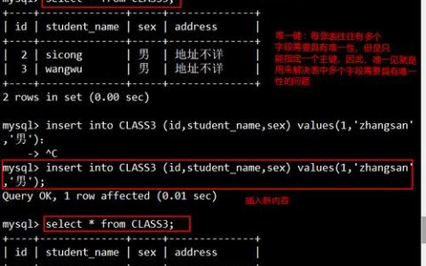 如何通过命令行连接到MySQL数据库服务器？