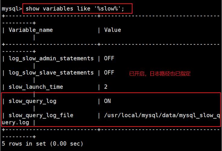 mysql 创建数据库日志_创建MySQL数据库
